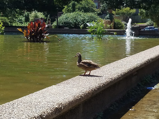 Park «Meridian Hill Park», reviews and photos, 2400 15th St NW, Washington, DC 20009, USA