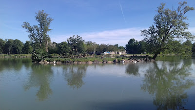 Piscine Municipale à Lisle-sur-Tarn