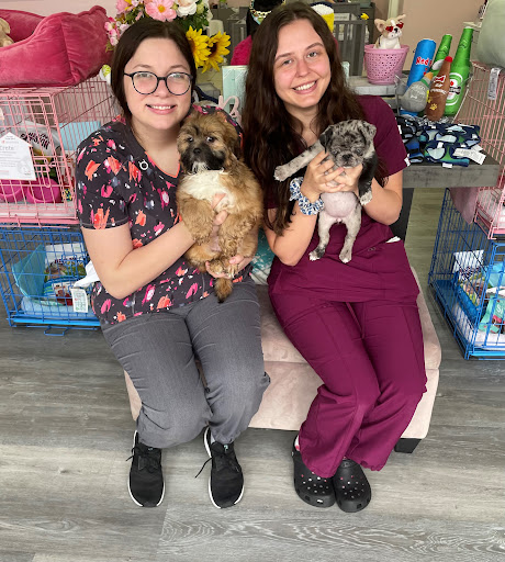 Furry Babies Portage