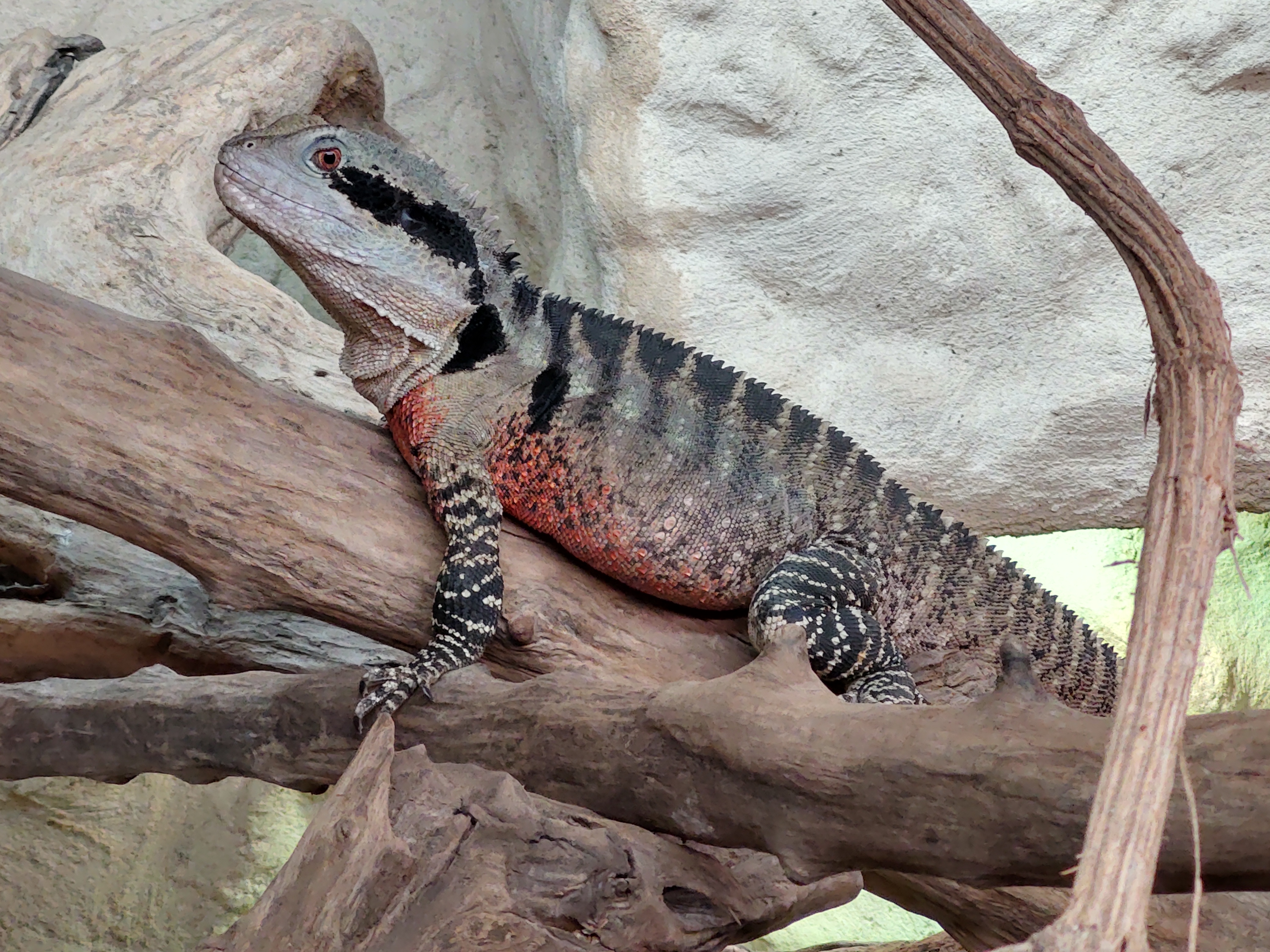 Photo n° 2 de l'avis de Erik.a fait le 07/08/2021 à 12:17