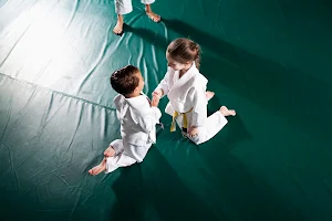 Clare Jiu Jitsu Academy, Martial Arts & Fitness image