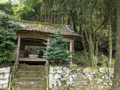 春日大明神のオオイチョウ
