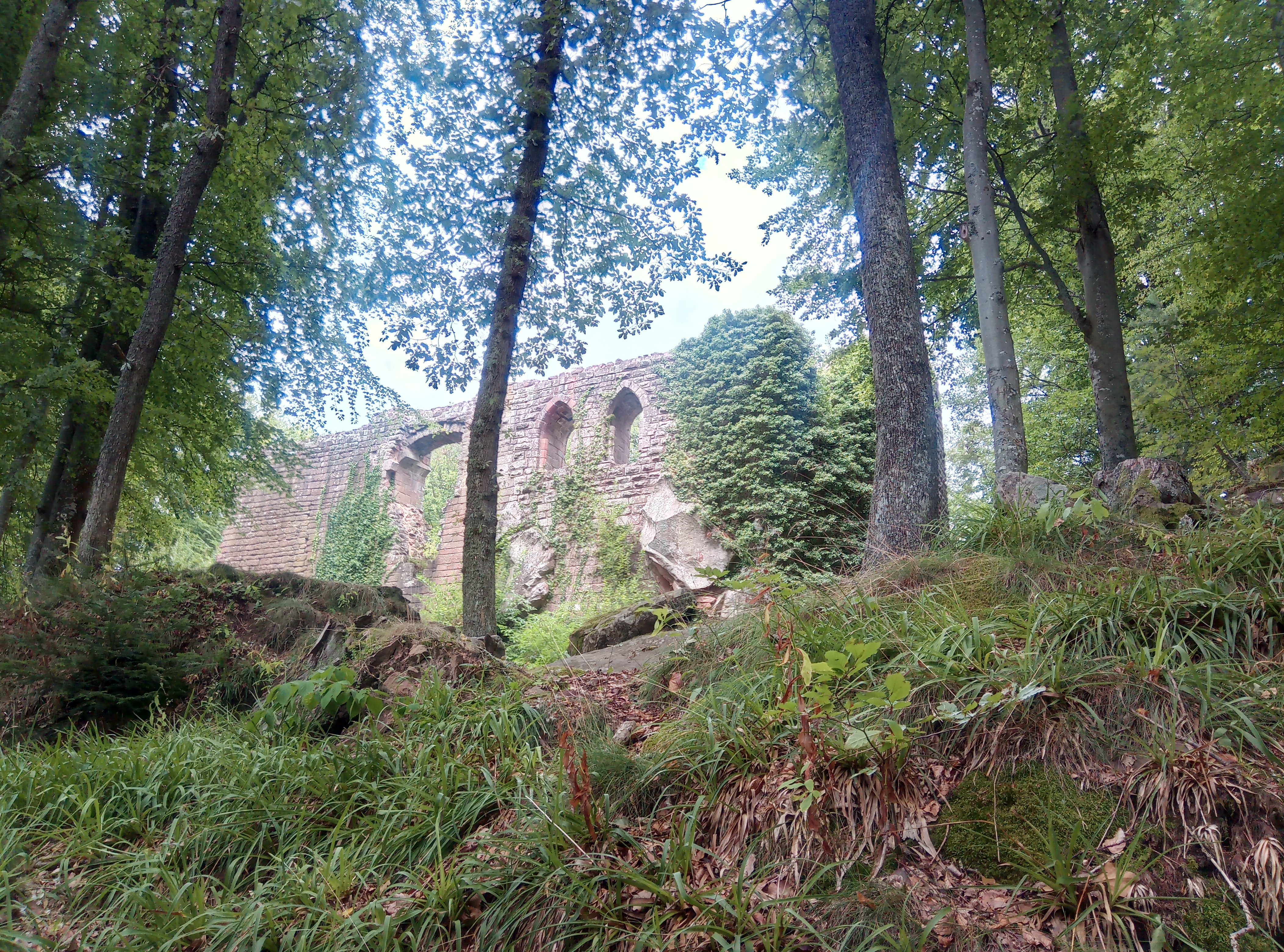 Photo n° 3 de l'avis de Transduo.r fait le 15/08/2018 à 12:01
