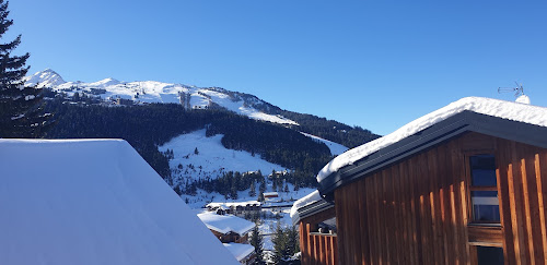 Le Ski, Chalet Caribou à Courchevel