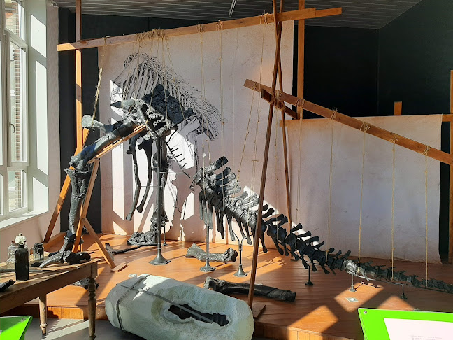 Musée de l'Iguanodon - Charleroi