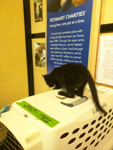 Pet Supply Store «PetSmart», reviews and photos, 11835 Retail Dr, Wake Forest, NC 27587, USA