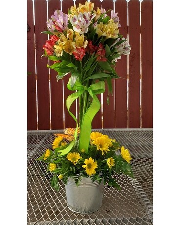 Florist «Phoebe Floral Shop», reviews and photos, 2102 Hamilton St, Allentown, PA 18104, USA