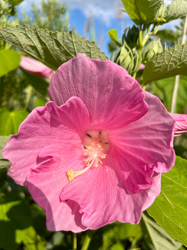 Bird Watching Area «Coffee Creek Watershed Preserve», reviews and photos, 2401 Village Point, Chesterton, IN 46304, USA