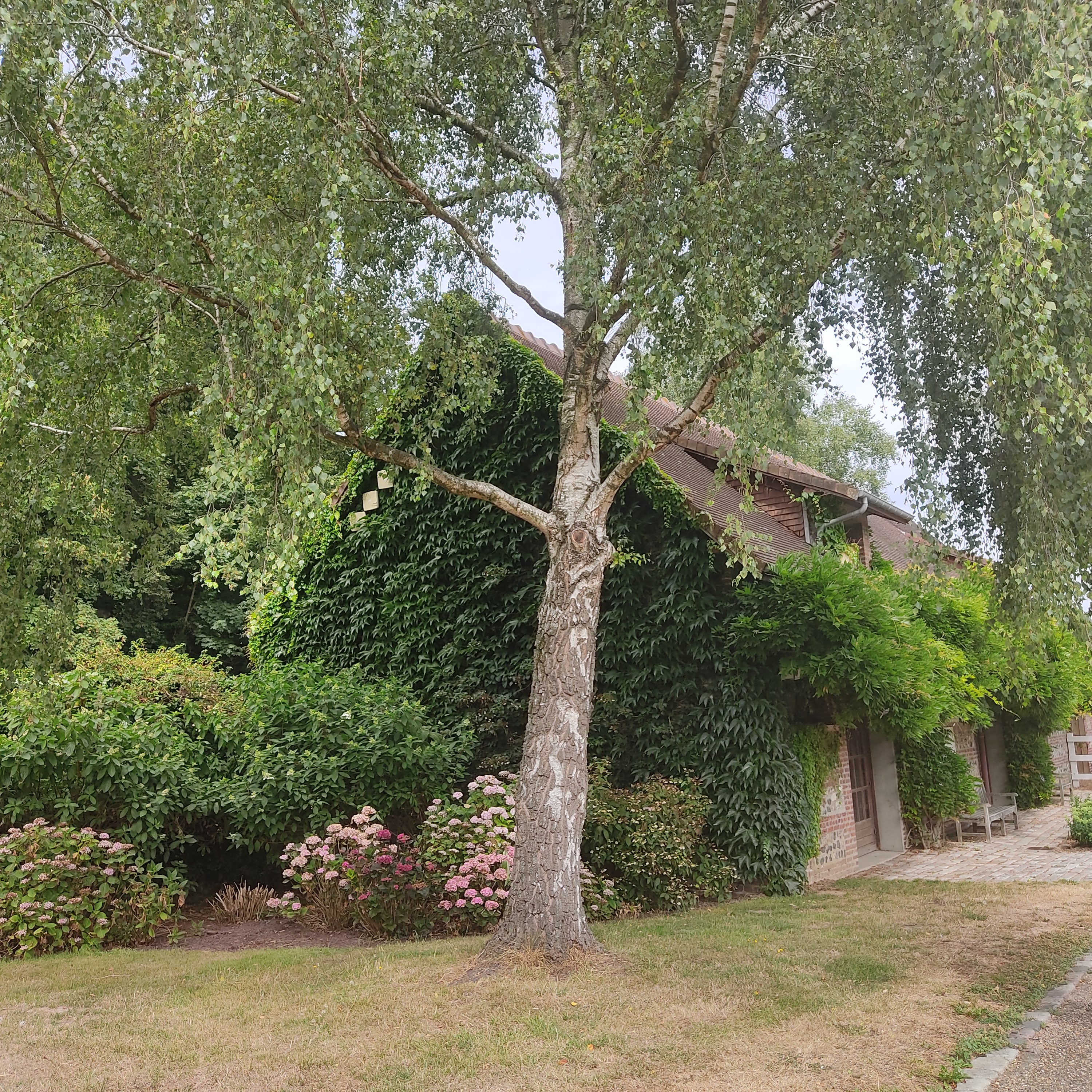 Photo n° 34 de l'avis de Café.a fait le 28/07/2022 à 17:38