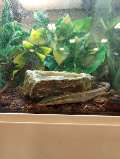 Pet Supply Store «PetSmart», reviews and photos, 5650 Mercury Dr, Dearborn, MI 48126, USA