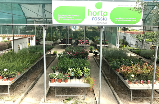 Floricultura Horto do Rossio - Plantas e Jardins