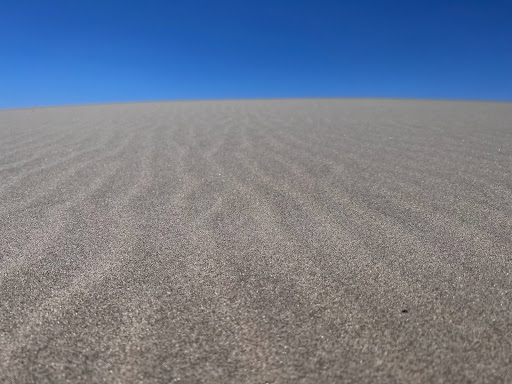 Recreation Center «Sand Master Park - Sandboarding», reviews and photos, 5351 US-101, Florence, OR 97439, USA