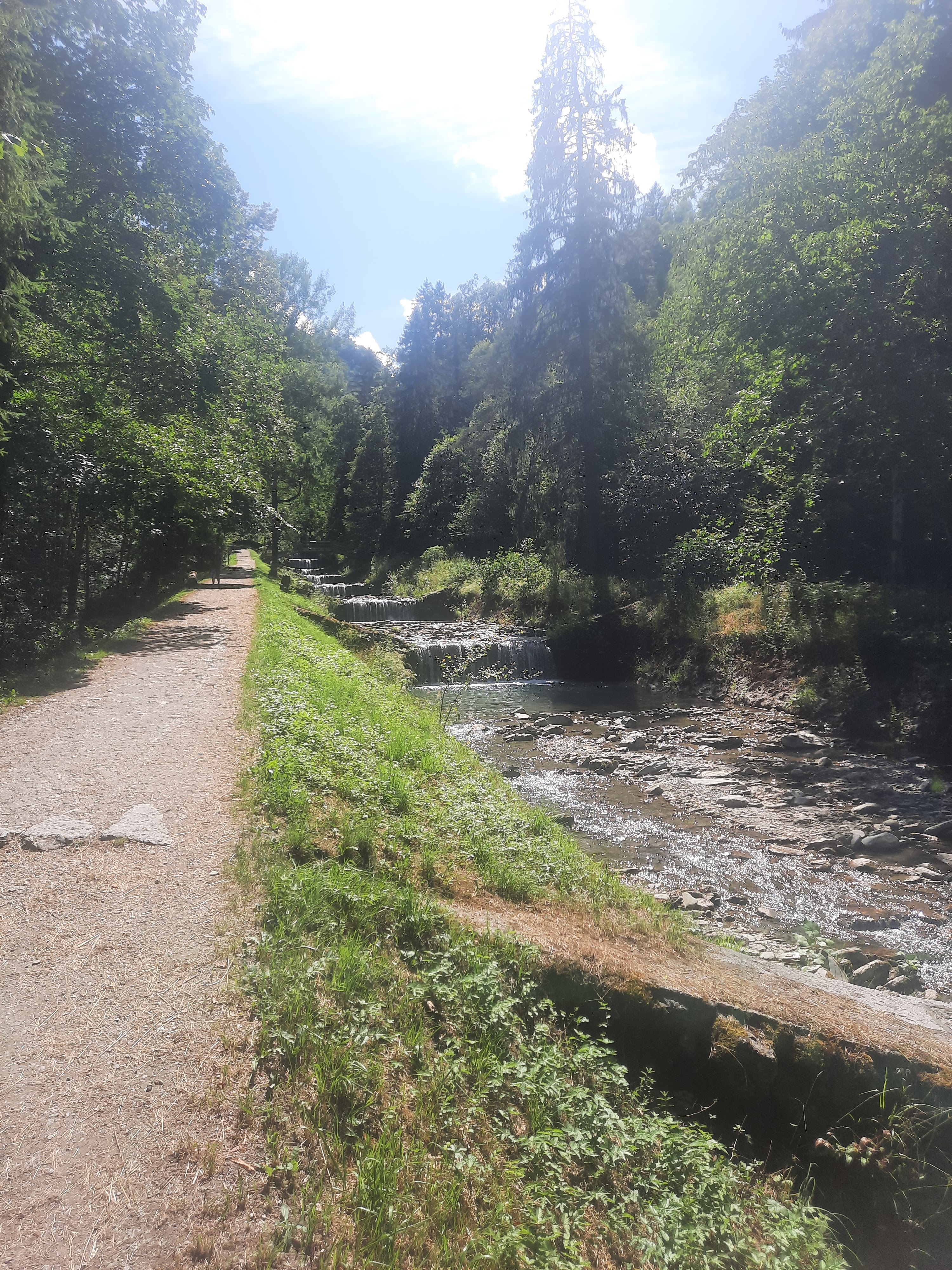 Photo n° 3 de l'avis de Lise. fait le 18/07/2023 à 11:01