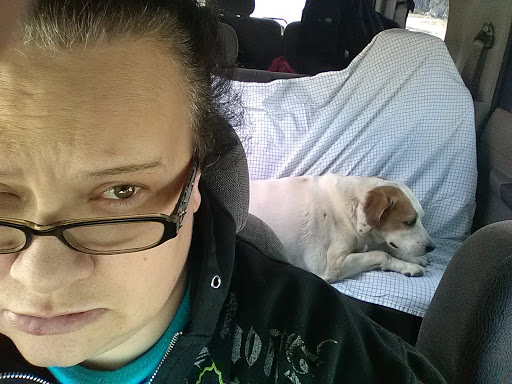 Pet Store «Animal Welfare League», reviews and photos, 6224 S Wabash Ave, Chicago, IL 60637, USA