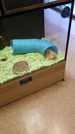 Pet Supply Store «PetSmart», reviews and photos, 1559 Merritt Blvd, Dundalk, MD 21222, USA