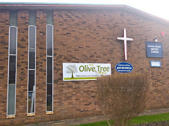 The Olive Tree Church
