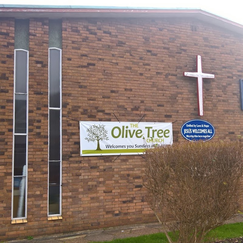 The Olive Tree Church