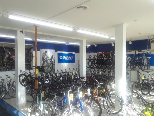 Bicycle Store «Ace Bicycle Shop», reviews and photos, 2500 S MacArthur Blvd, Springfield, IL 62704, USA