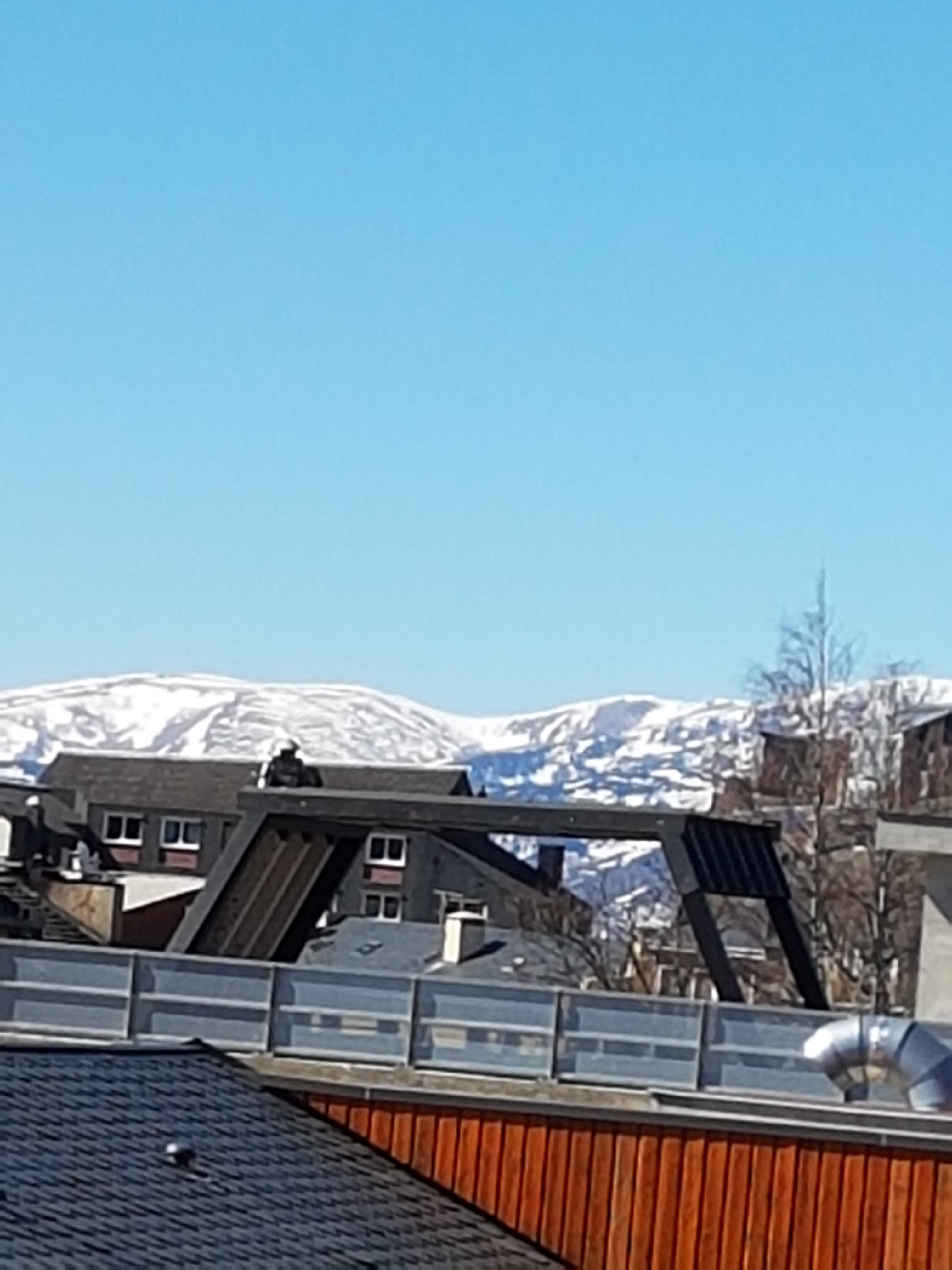 Photo n° 2 de l'avis de Sophie. fait le 12/03/2019 à 15:56