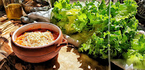 Salade du Restaurant végétalien Utopia Vegan & Italian restaurant à Nice - n°3
