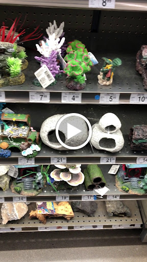 Pet Supply Store «Petco Animal Supplies», reviews and photos, 3194 FM407, Highland Village, TX 75077, USA