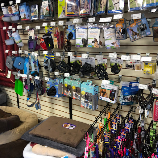 Pet Store «Choice Pet Market», reviews and photos, 2915 W Ray Rd, Chandler, AZ 85224, USA