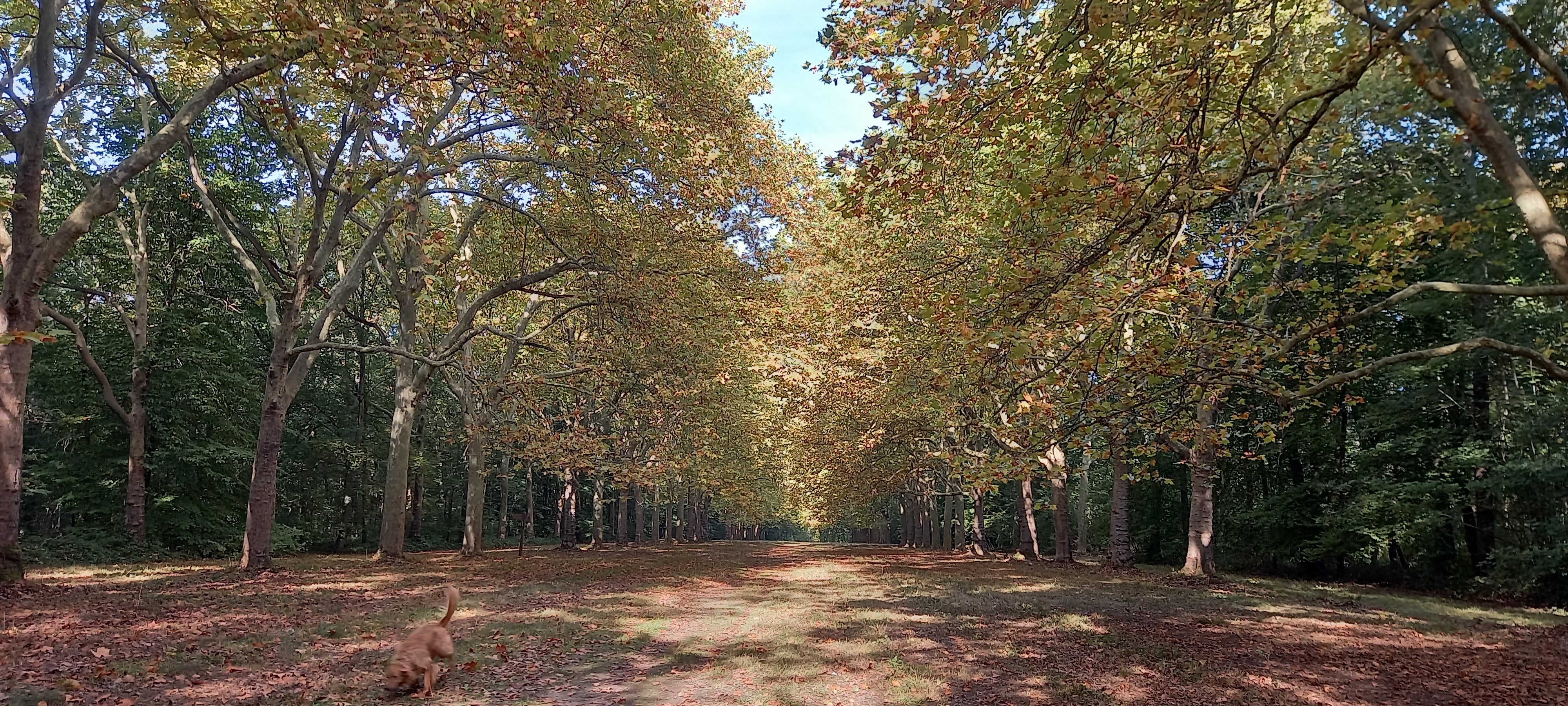 Photo n° 6 de l'avis de Adeline.a fait le 17/10/2021 à 11:57