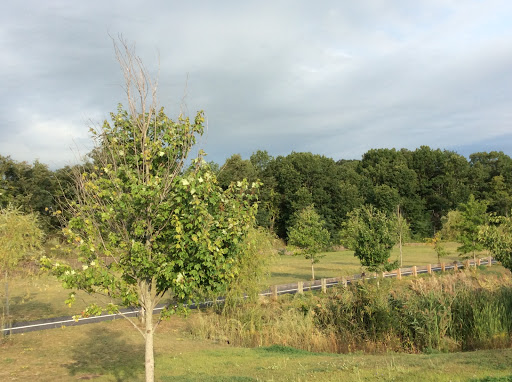 Park «Manchester Street Park», reviews and photos, 77 Manchester St, Lawrence, MA 01841, USA