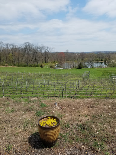 Winery «The Vineyard at Hershey», reviews and photos, 598 Schoolhouse Rd, Middletown, PA 17057, USA