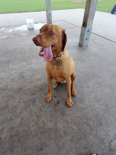 Park «Creekwood Park», reviews and photos, 7025 44th Ave E, Bradenton, FL 34205, USA