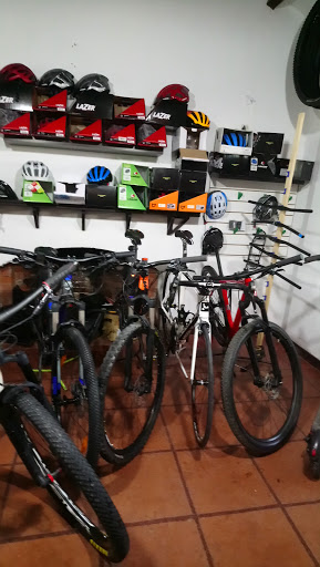 Cingolani bike shop