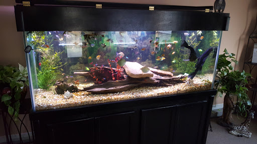 Aquarium «Crystal Reef Aquariums», reviews and photos, 311 Pass Rd, Gulfport, MS 39507, USA