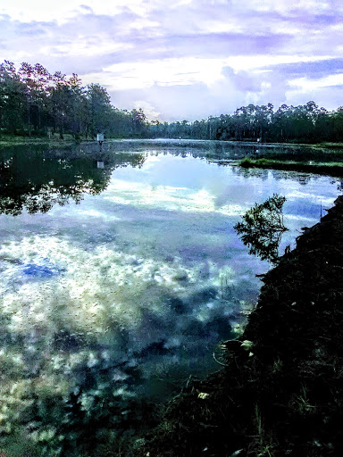 Public Golf Course «Eglin Golf Course», reviews and photos, 1527 Fairway Dr, Niceville, FL 32578, USA