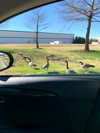 Auto Parts Store «NAPA Auto Parts - Genuine Parts Company», reviews and photos, 635 Freeport Pkwy, Coppell, TX 75019, USA