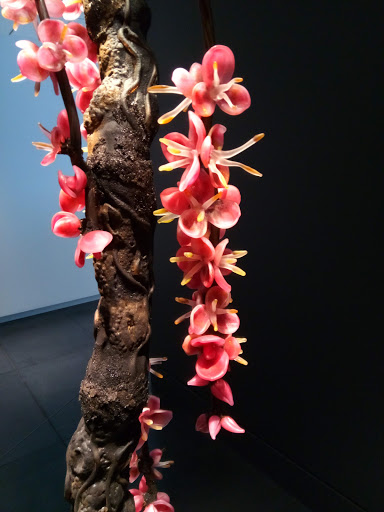 Art Museum «Tacoma Art Museum», reviews and photos, 1701 Pacific Ave, Tacoma, WA 98402, USA