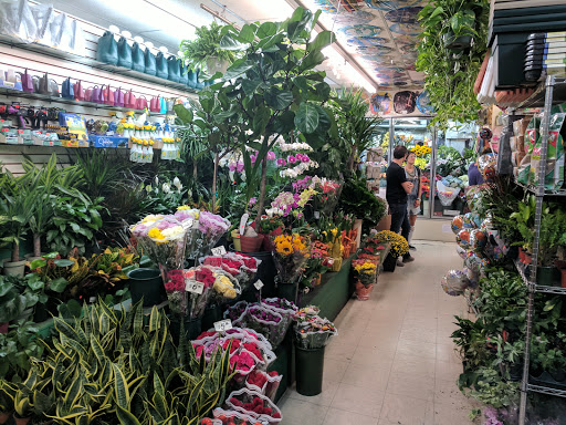 Florist «World of Flowers», reviews and photos, 971 Manhattan Ave, Brooklyn, NY 11222, USA