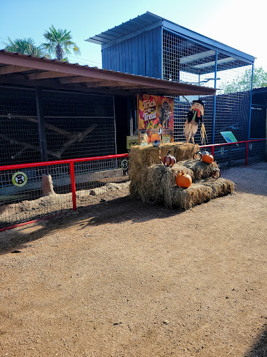 Zoo «Animal World & Snake Farm Zoo», reviews and photos, 5640 Interstate 35 Frontage Rd, New Braunfels, TX 78132, USA