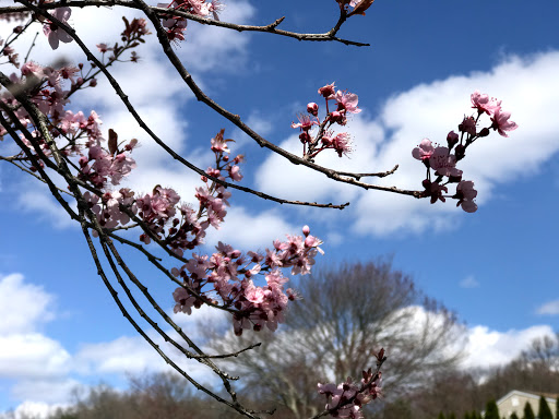 Golf Course «Whitney Farms Golf Course», reviews and photos, 175 Shelton Rd, Monroe, CT 06468, USA