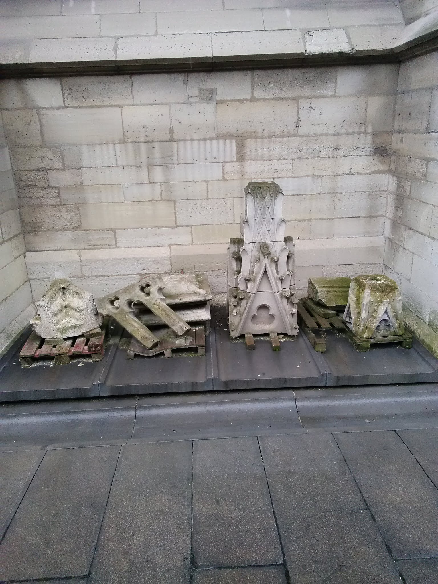 Photo n° 7 de l'avis de Milan.e fait le 24/02/2020 à 10:41
