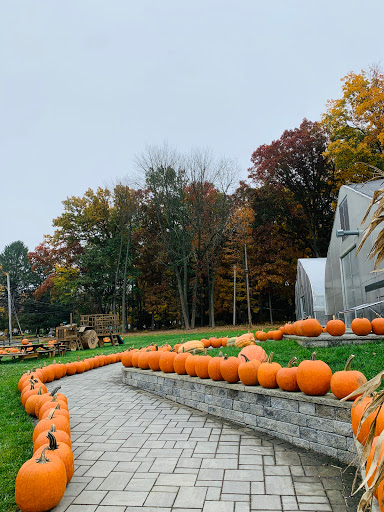 Farm «Ashley Turkey Farm», reviews and photos, 25 Hillside Ave, Flanders, NJ 07836, USA