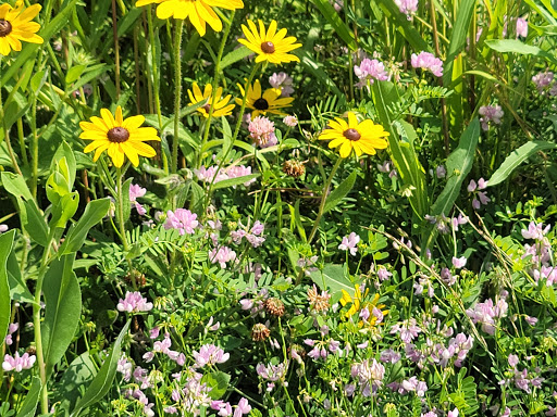 Nature Preserve «Farmington Hills Nature Center», reviews and photos, 24915 Farmington Rd, Farmington Hills, MI 48336, USA