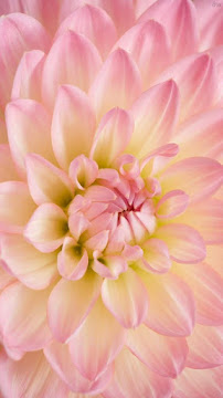 Matthew Koehler Photography - Photo 4 - Car repair in Santa Rosa, CA, Santa Rosa