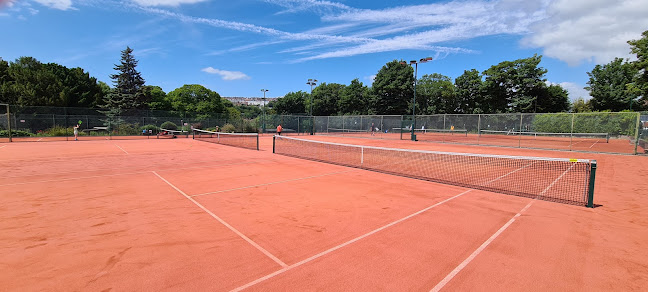 Preston Lawn Tennis Club - Brighton