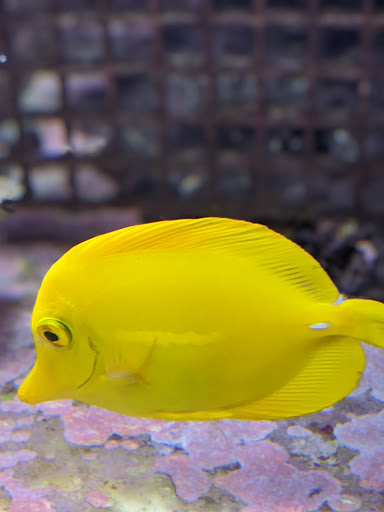 Pet Store «Fin-N-Feather», reviews and photos, 2931 F St, Eureka, CA 95501, USA