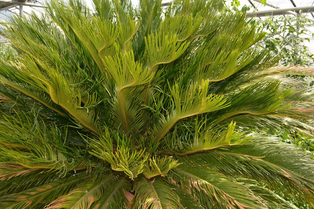 Steiner Gartenbau Sàrl - La Chaux-de-Fonds