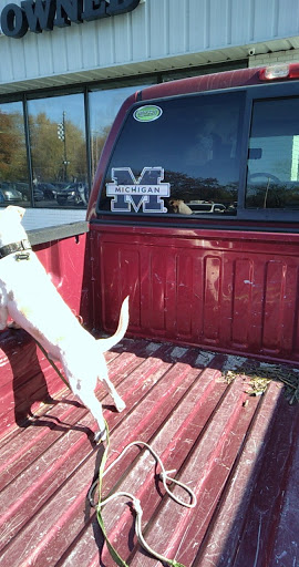 Car Dealer «Vicksburg Chrysler Dodge Jeep Ram», reviews and photos, 13475 Portage Rd, Vicksburg, MI 49097, USA