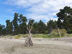Photo de Moturoa Rabbit Beach avec un niveau de propreté de assez propre