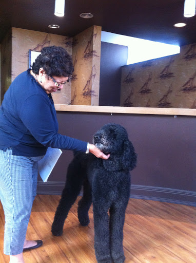 Social Security Attorney «Law Office of Kathleen L. Day», reviews and photos