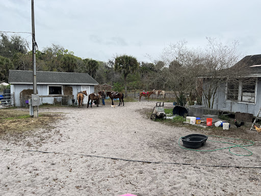 Horseback Riding Service «Horseback Trail Rides», reviews and photos, 1020 Camp Rd, Cocoa, FL 32927, USA