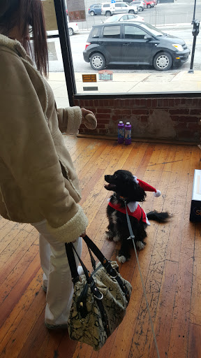 Pet Groomer «That Dog Wash», reviews and photos, 1401 Jackson St, Omaha, NE 68102, USA